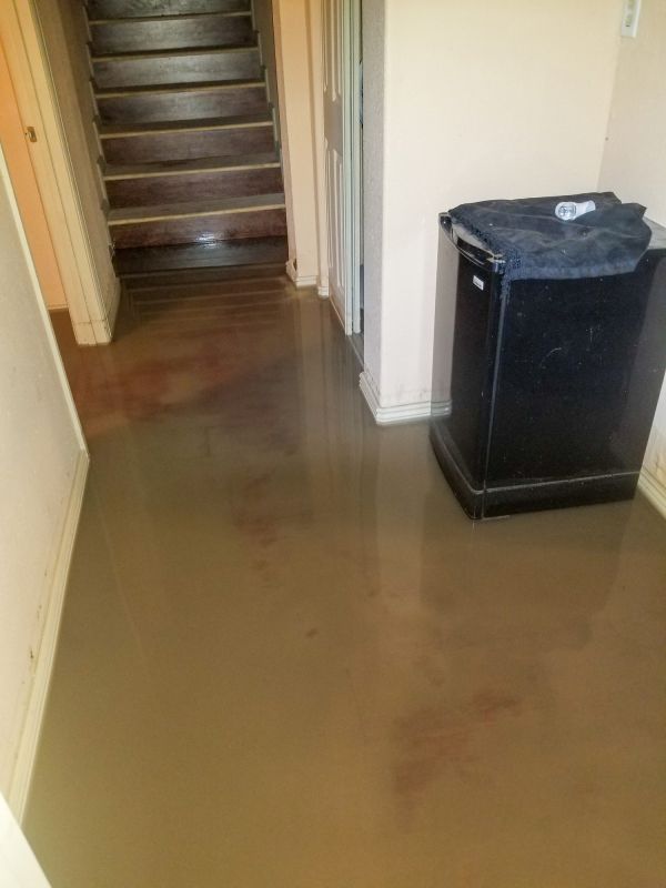 Basement Water Removal in Mesa, AZ