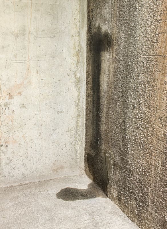 Foundation Leak Repair in Grand Rapids, MI