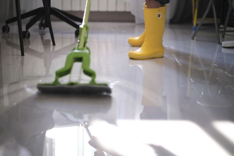 Moisture Removal Service in Phoenix, AZ