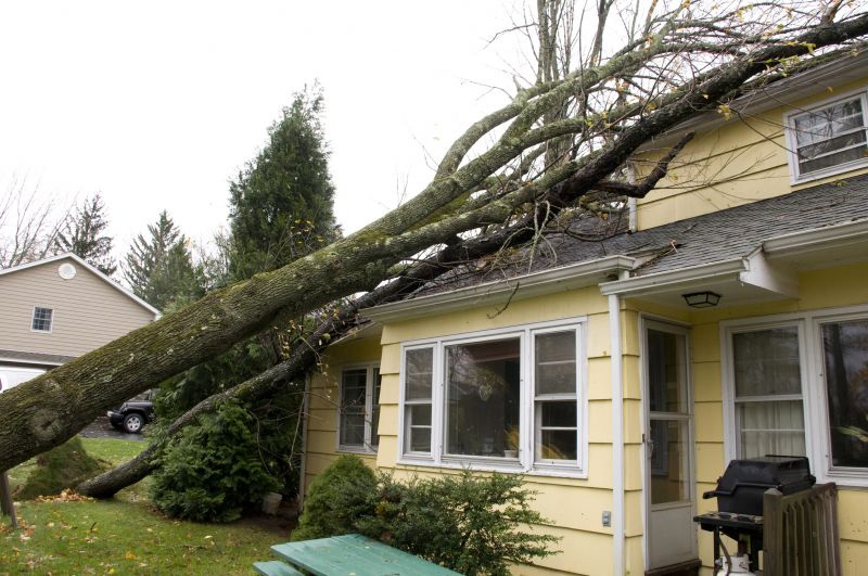 Storm Damage Mitigation in Chandler, AZ