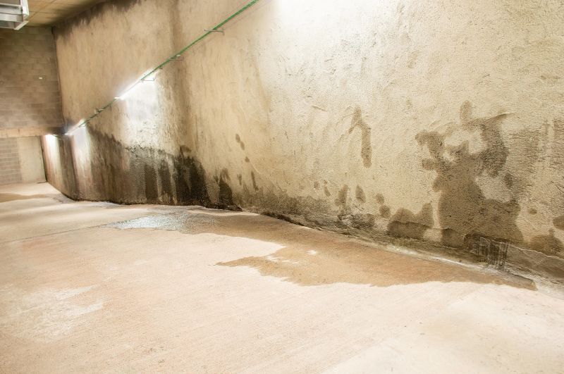 Wet Basement Repair in Fredericksburg, VA