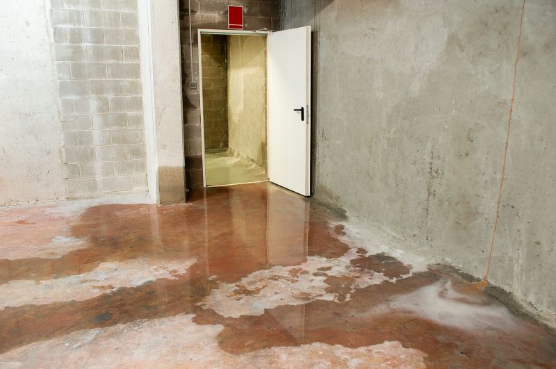 Wet Basement Solutions in Fort Collins, CO