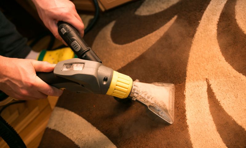 Wet Carpet Drying in Mesa, AZ